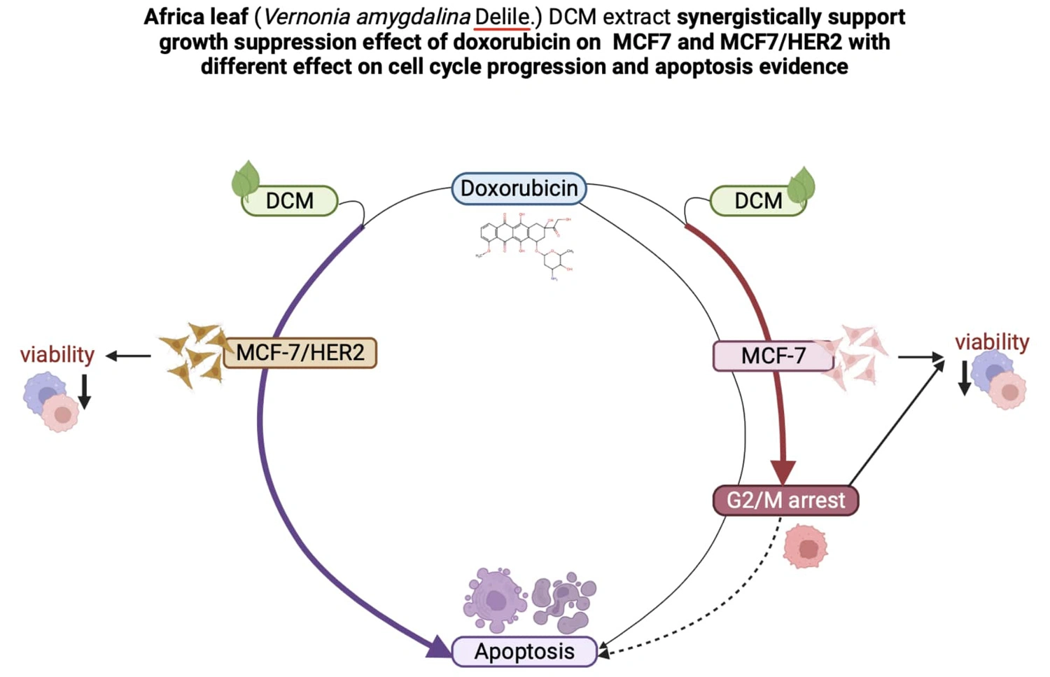 Graphical Abstract